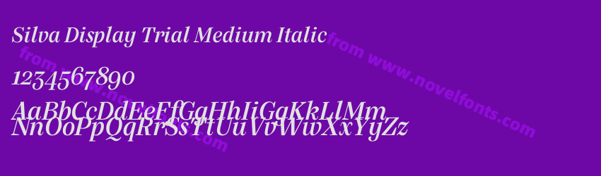 Silva Display Trial Medium ItalicPreview Silva Display Trial Medium ItalicPreview