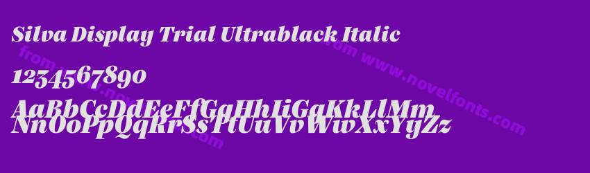 Silva Display Trial Ultrablack ItalicPreview Silva Display Trial Ultrablack ItalicPreview
