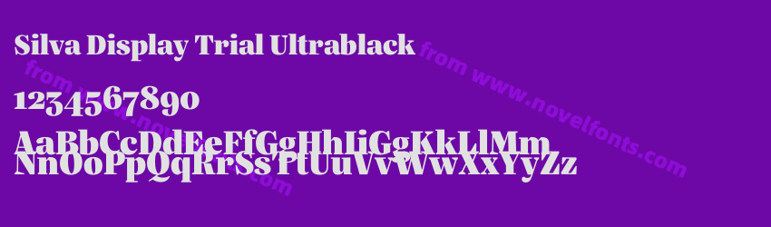 Silva Display Trial UltrablackPreview Silva Display Trial UltrablackPreview