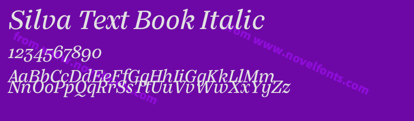 Silva Text Book ItalicPreview Silva Text Book ItalicPreview