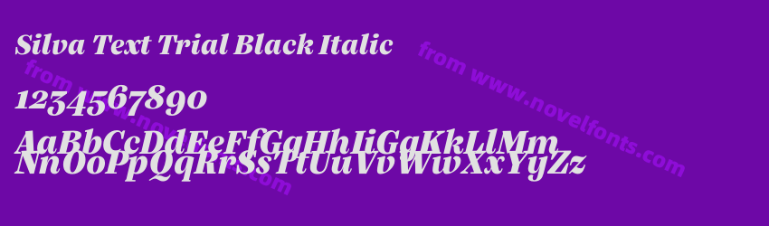Silva Text Trial Black ItalicPreview Silva Text Trial Black ItalicPreview
