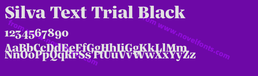 Silva Text Trial BlackPreview Silva Text Trial BlackPreview