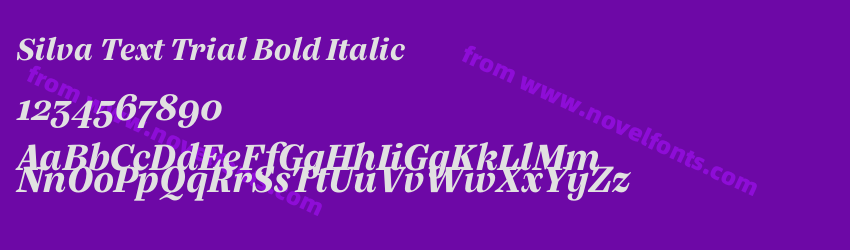 Silva Text Trial Bold ItalicPreview Silva Text Trial Bold ItalicPreview
