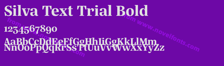 Silva Text Trial BoldPreview Silva Text Trial BoldPreview