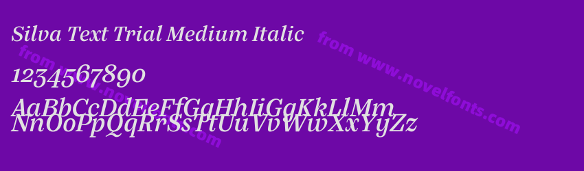 Silva Text Trial Medium ItalicPreview Silva Text Trial Medium ItalicPreview