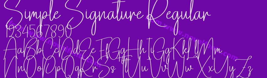 Simple Signature RegularPreview Simple Signature RegularPreview
