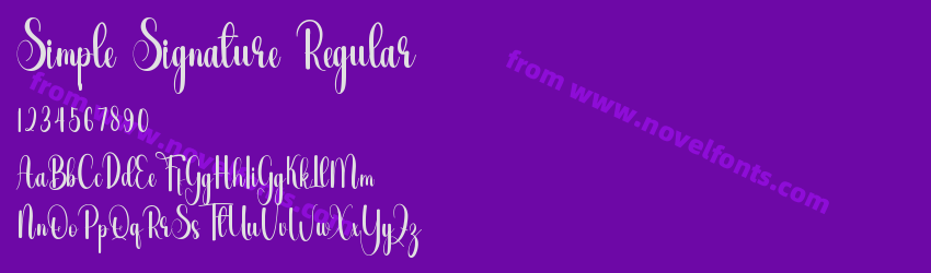 Simple Signature RegularPreview Simple Signature RegularPreview