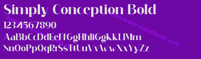 Simply Conception BoldPreview Simply Conception BoldPreview