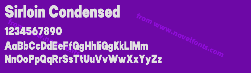 Sirloin CondensedPreview Sirloin CondensedPreview