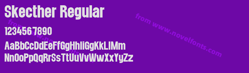Skecther RegularPreview Skecther RegularPreview
