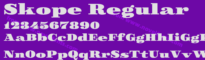 Skope RegularPreview Skope RegularPreview