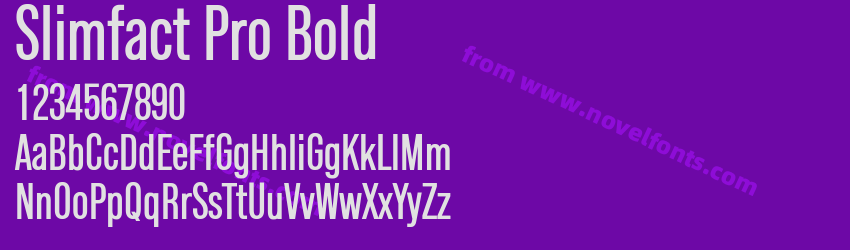 Slimfact Pro BoldPreview Slimfact Pro BoldPreview