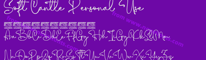 Soft Cantle Personal UsePreview Soft Cantle Personal UsePreview