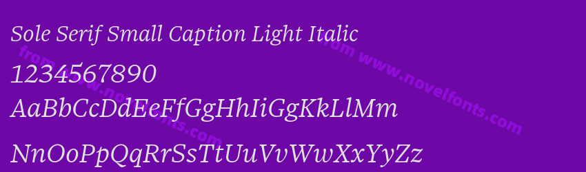 Sole Serif Small Caption Light ItalicPreview Sole Serif Small Caption Light ItalicPreview