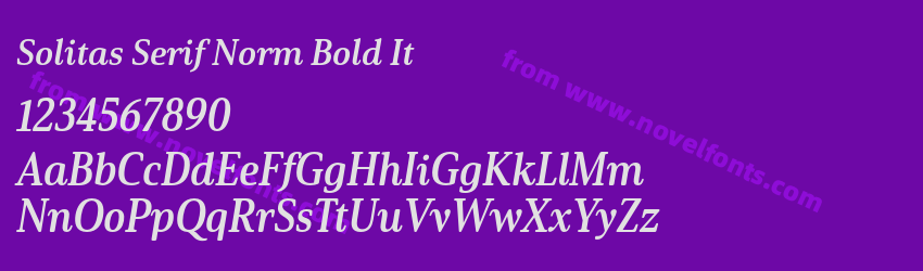 Solitas Serif Norm Bold ItPreview Solitas Serif Norm Bold ItPreview