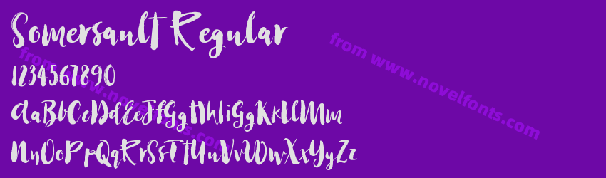 Somersault RegularPreview Somersault RegularPreview
