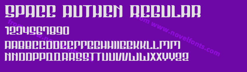 Space Authen RegularPreview Space Authen RegularPreview