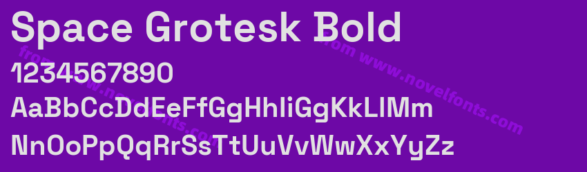 Space Grotesk BoldPreview Space Grotesk BoldPreview