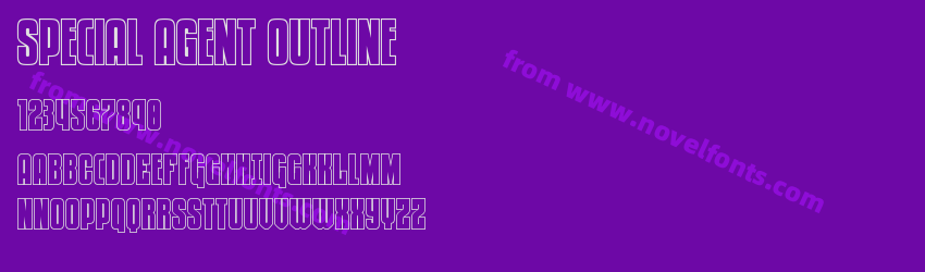 Special Agent OutlinePreview Special Agent OutlinePreview