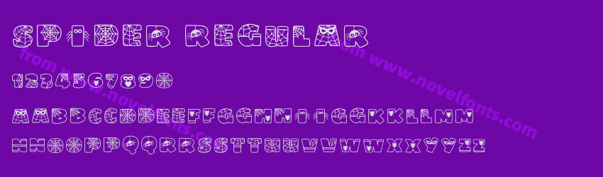 Spider RegularPreview Spider RegularPreview