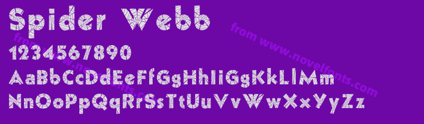 Spider WebbPreview Spider WebbPreview