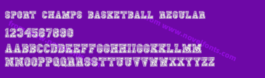 Sport Champs Basketball RegularPreview Sport Champs Basketball RegularPreview