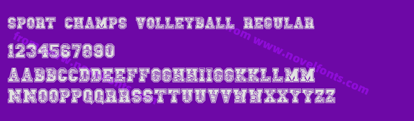 Sport Champs Volleyball RegularPreview Sport Champs Volleyball RegularPreview