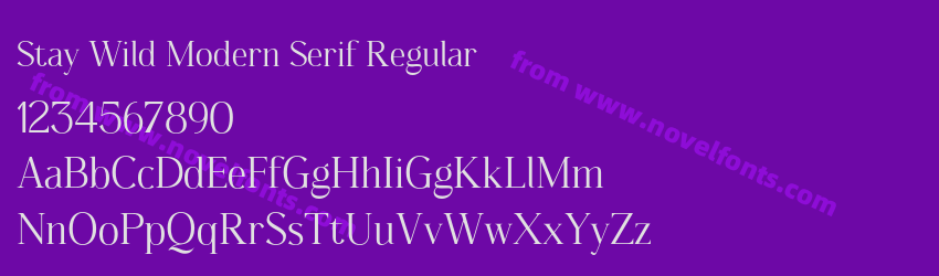 Stay Wild Modern Serif RegularPreview Stay Wild Modern Serif RegularPreview
