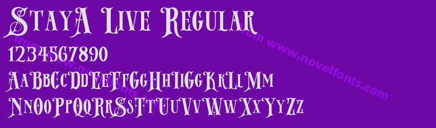 StayA Live RegularPreview StayA Live RegularPreview