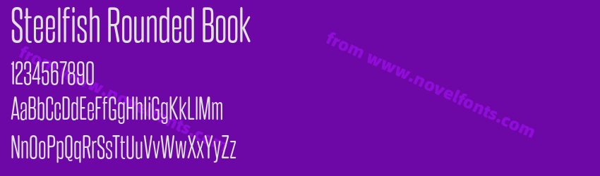 Steelfish Rounded BookPreview Steelfish Rounded BookPreview