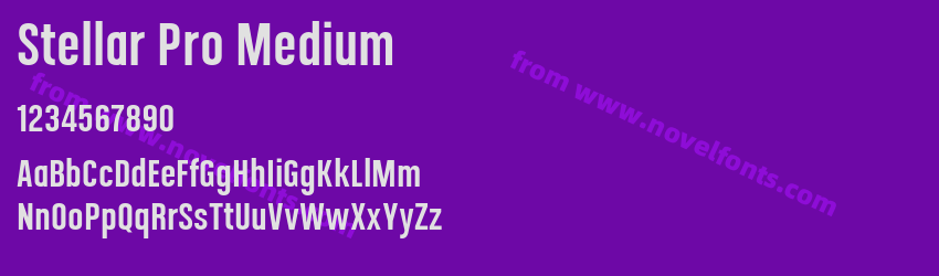 Stellar Pro MediumPreview Stellar Pro MediumPreview