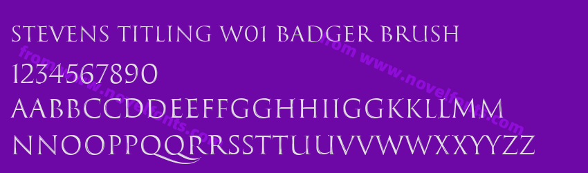 Stevens Titling W01 Badger BrushPreview Stevens Titling W01 Badger BrushPreview