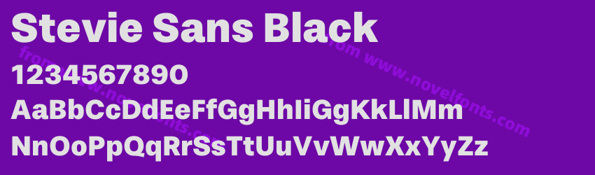 Stevie Sans BlackPreview Stevie Sans BlackPreview
