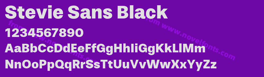 Stevie Sans BlackPreview Stevie Sans BlackPreview