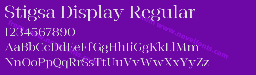 Stigsa Display RegularPreview Stigsa Display RegularPreview