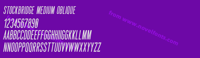 Stockbridge Medium ObliquePreview Stockbridge Medium ObliquePreview