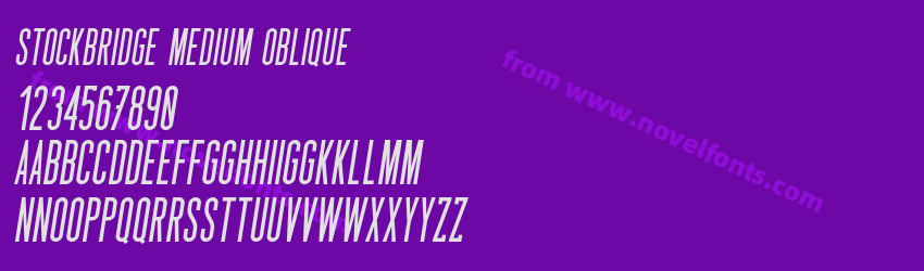 Stockbridge Medium ObliquePreview Stockbridge Medium ObliquePreview