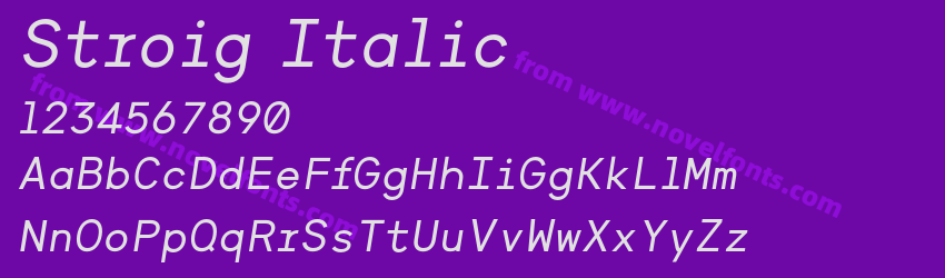 Stroig ItalicPreview Stroig ItalicPreview