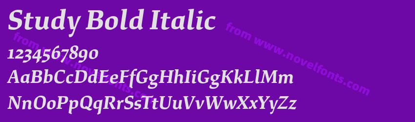 Study Bold ItalicPreview Study Bold ItalicPreview