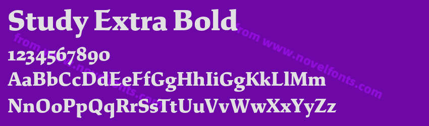 Study Extra BoldPreview Study Extra BoldPreview
