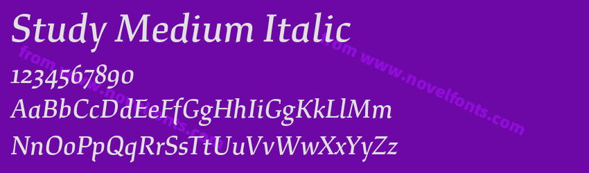 Study Medium ItalicPreview Study Medium ItalicPreview