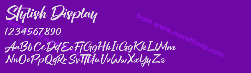 Stylish DisplayPreview