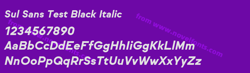 Sul Sans Test Black ItalicPreview Sul Sans Test Black ItalicPreview