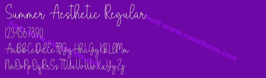 Summer Aesthetic RegularPreview Summer Aesthetic RegularPreview