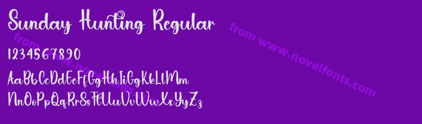 Sunday Hunting RegularPreview Sunday Hunting RegularPreview