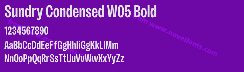 Sundry Condensed W05 BoldPreview Sundry Condensed W05 BoldPreview