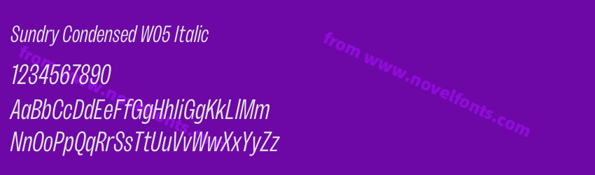 Sundry Condensed W05 ItalicPreview Sundry Condensed W05 ItalicPreview