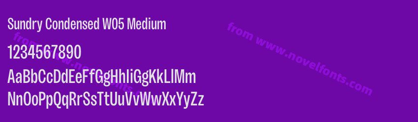 Sundry Condensed W05 MediumPreview Sundry Condensed W05 MediumPreview