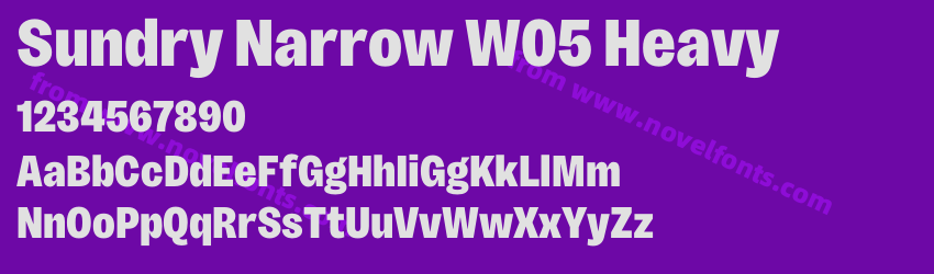 Sundry Narrow W05 HeavyPreview Sundry Narrow W05 HeavyPreview