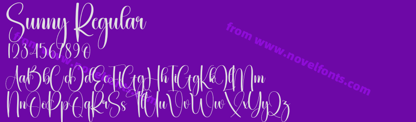 Sunny RegularPreview Sunny RegularPreview